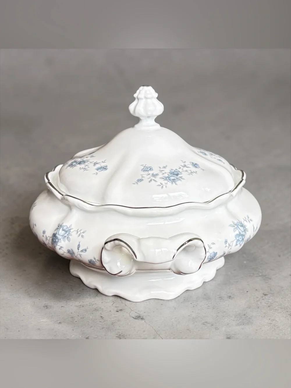Johann Haviland Bavaria Blue Garland Covered Vegetable Soup Bowl Platinum Trim